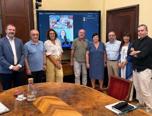 Reunión de la Comisión de Garantías y Auditoría de la FAPE
